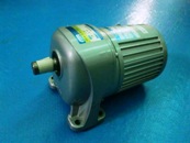 gear motor